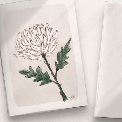 White Chrysanthemum - A6 Folded
