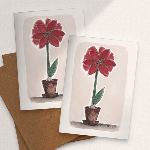 Amaryllis, Red - A6 Folded