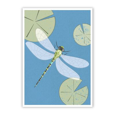 Postcard "dragonfly" wood pulp cardboard