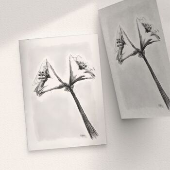 Amaryllis Noir/Blanc - A6 Plié 1