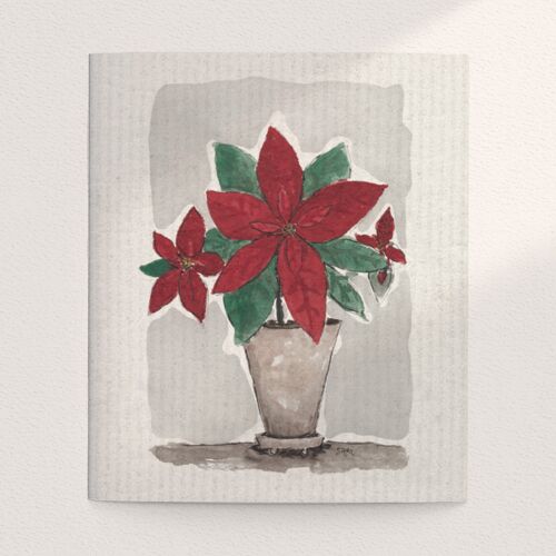 Poinsettia, Red