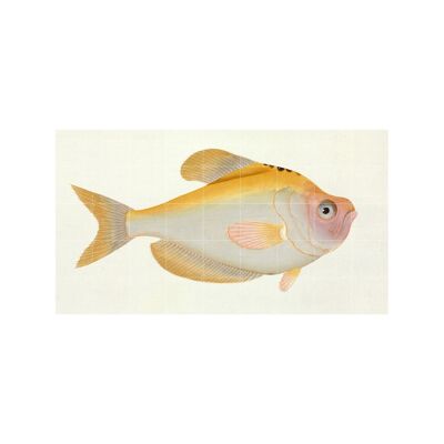 IXXI - Gelber Fisch L - Wandkunst - Poster - Wanddekoration