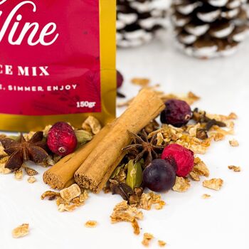 Mélange d'épices pour vin chaud de Noël de luxe 2