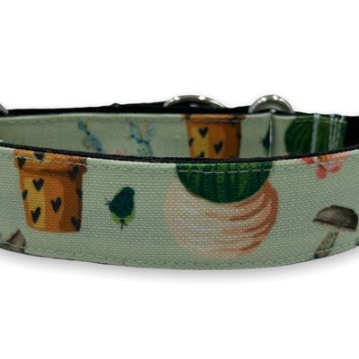 Collar martingale - arizona - t2'5