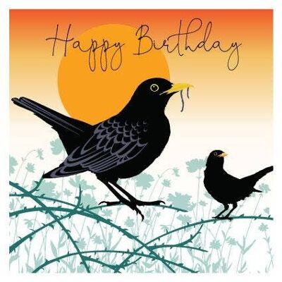 DUS73 Birthday Blackbird