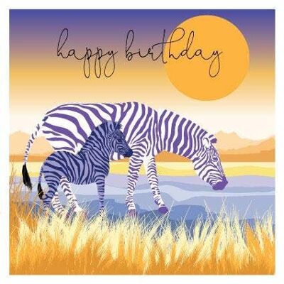 DUS80 Birthday Zebras