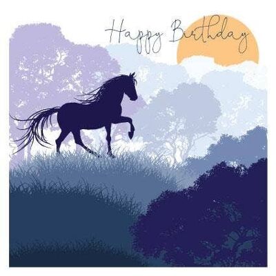 DUS64 cumpleaños caballo en la colina