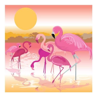 PT56 Flamants roses