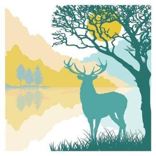 PT09 Stag by Loch