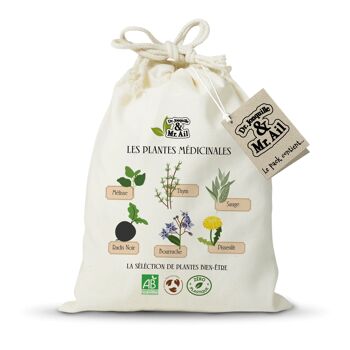 Kit les plantes médicinales 1