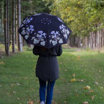 Anémone bleue - parapluie 2