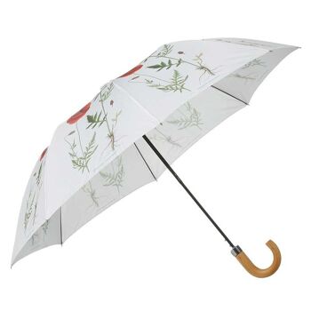 Parapluie - Coquelicots 2