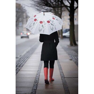 Regenschirm - Mohnblumen