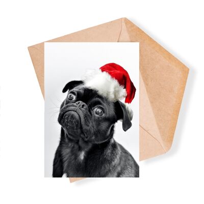 Christmas Pug Photo Christmas Greeting Card