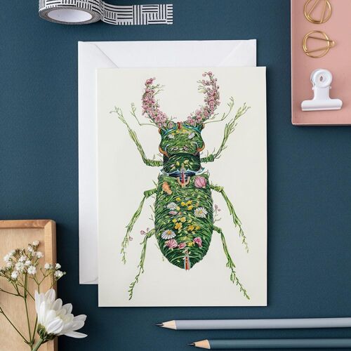 Stag Beetle - Card