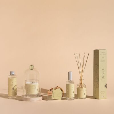 Pack d'implantation de parfums d'intérieur "ESSENTIEL" - 72 produits