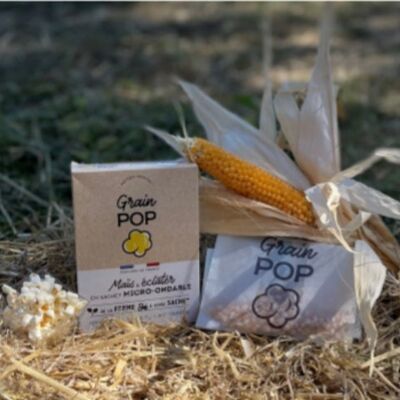 Grain POP - Popcorn de France Nature à éclater