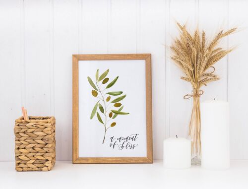 Mellow Olive Branch - A Moment of Bliss Print