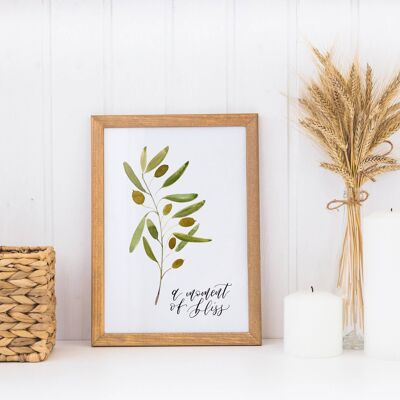 Mellow Olive Branch - A Moment of Bliss Print