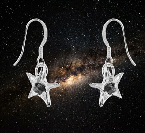 Solid Silver Star Earrings With Iron Meteorite