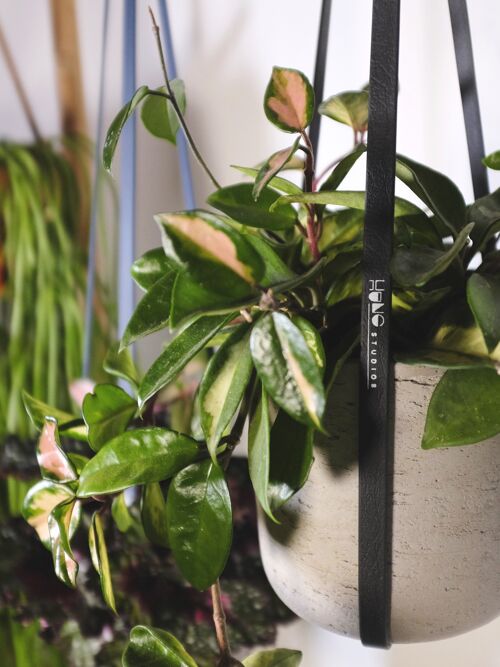 The Black Vegan Leather Plant Hanger 100 CM