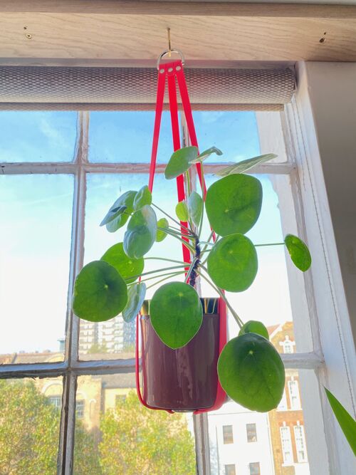 The Neon Pink Vegan Leather Plant Hanger SILVER 100 CM
