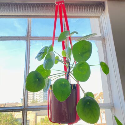 The Neon Pink Vegan Leather Plant Hanger SILVER 100 CM