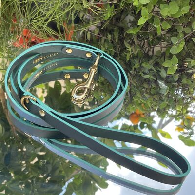 The Classic Leather Lead STANDARD 3/4" BRASS GREEN/TEAL