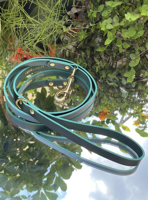 The Classic Leather Lead STANDARD 3/4" SILVER GREEN/TEAL