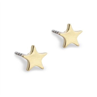 Star Earring Stud