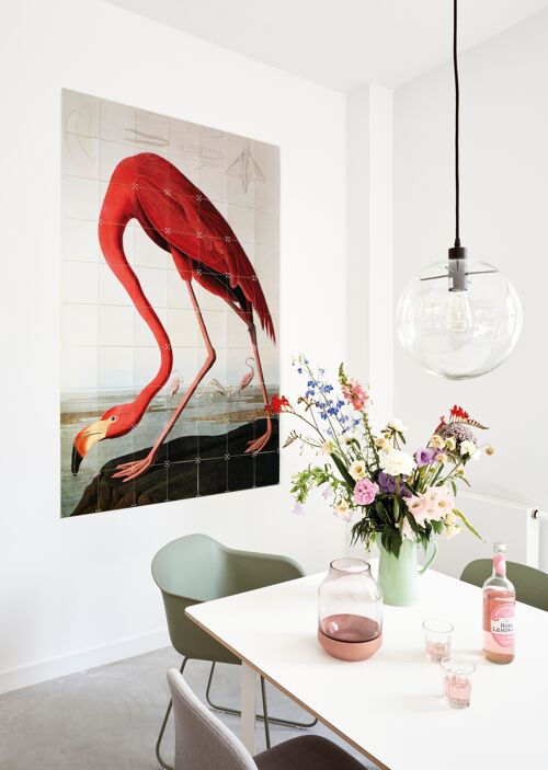 Flamingo Audubon - S