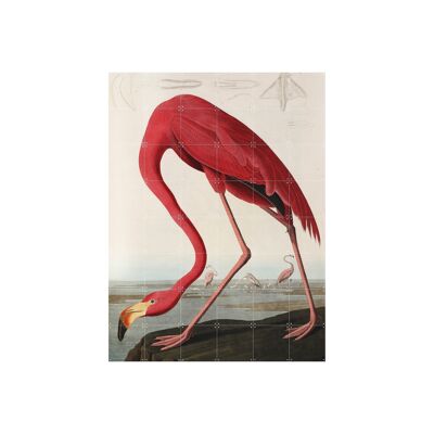 IXXI - Flamingo Audubon L - Wandkunst - Poster - Wanddekoration