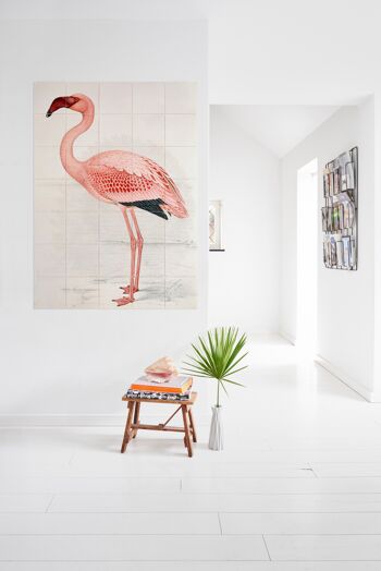 Flamingo Finch-Davies - L 2