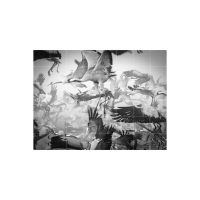 IXXI - Migración de aves L - Arte mural - Póster - Decoración mural