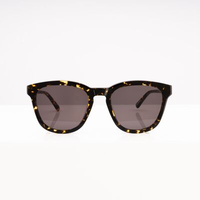 Fresno havana Sunglasses