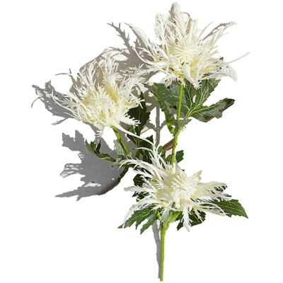 3 Heads Artificial Eryngium Sea Holly Flowers - Milk White