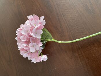 Fleur Artificielle Simple Tige Hortensia - Blanc - X1 3