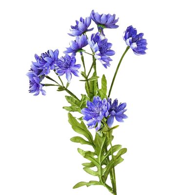 Simulazione Singolo Ramo In Giardino Rudbeckia Simulazione Fiore - Viola-blu