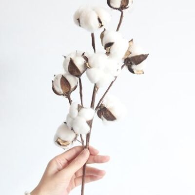 Têtes de Branches de Coton Naturel Fleur Artificielle