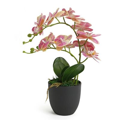 Bonsai de flores de simulación de Phalaenopsis