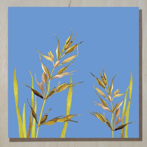 WND293 wild grasses card