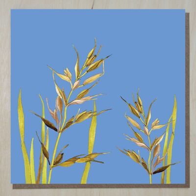 WND293 wild grasses card