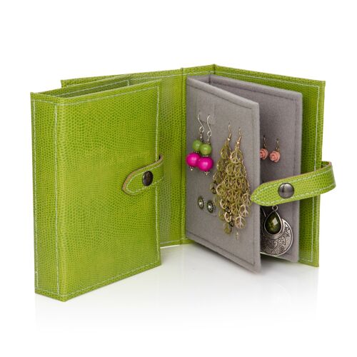 Little Little Book of Earrings Lime Perfect earring organiser.