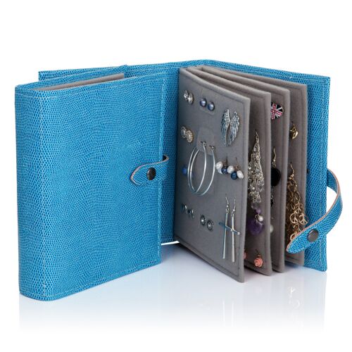 Little Book of Earrings Blue Lizard Perfect earring organiser.