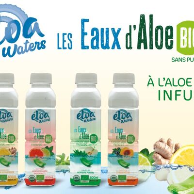 Eloa Waters Organic Lemon Ginger 50cl