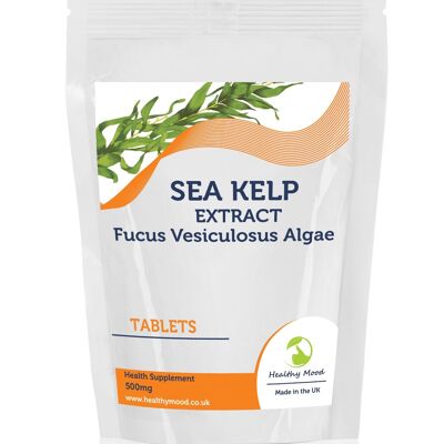 Extracto de algas marinas 500 mg comprimidos Paquete de recambio de 500 comprimidos