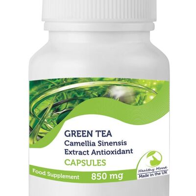 Cápsulas de extracto de té verde 850 mg