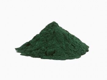 Spiruline en poudre d'algues bleu-vert 2