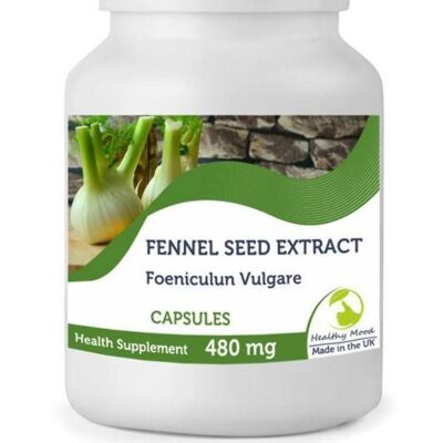 Fennel Seed Extract 480mg  Capsules 500 Capsules BOTTLE