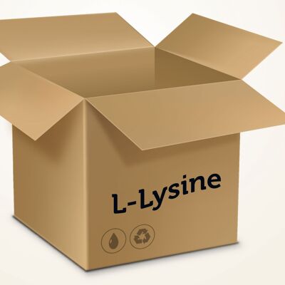 L-Lysine BOX - 10000 Comprimés et plus